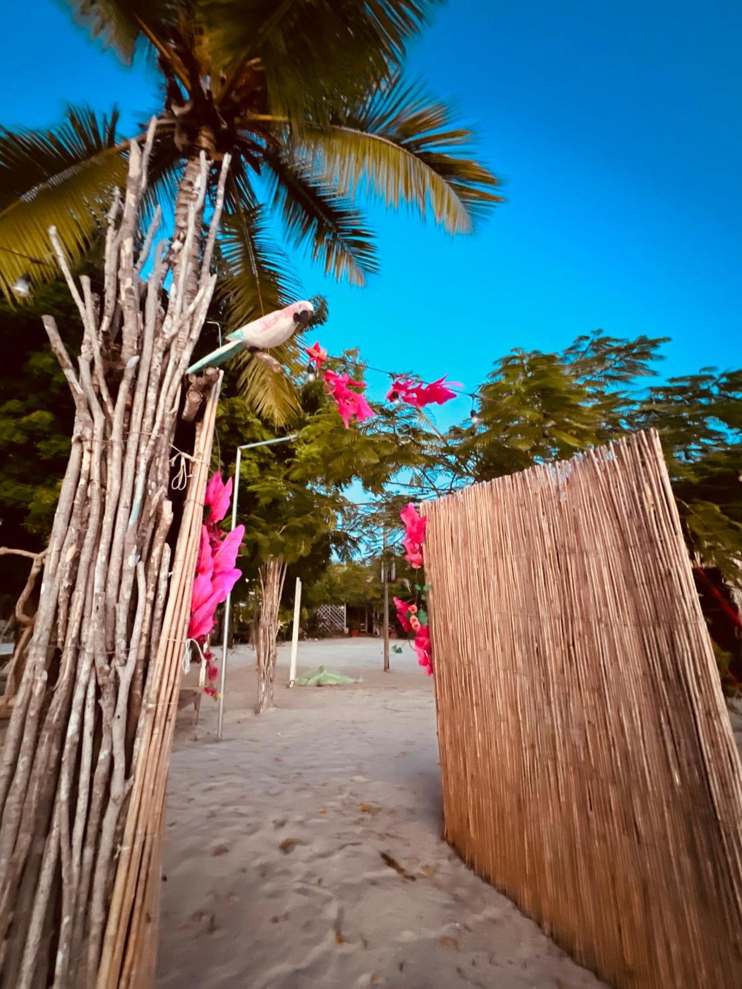 Bluemare Ecohotel Frente A La Playa Ensendada Punta Rucia Exterior foto